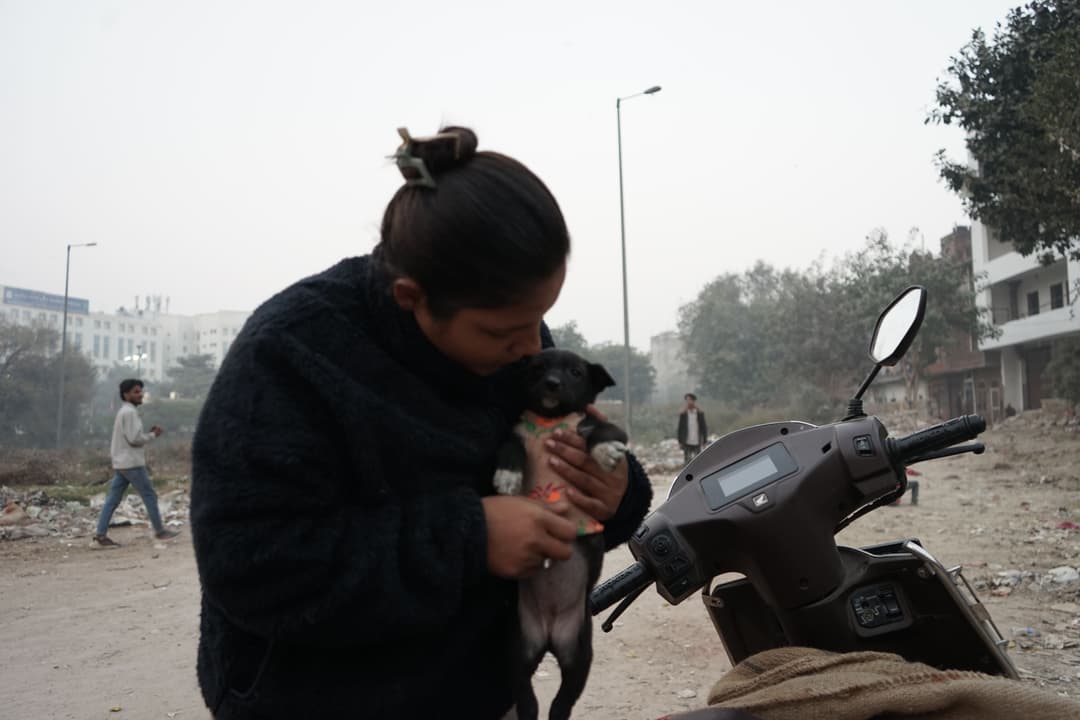 She Cares for Hundreds of Animals Every Day