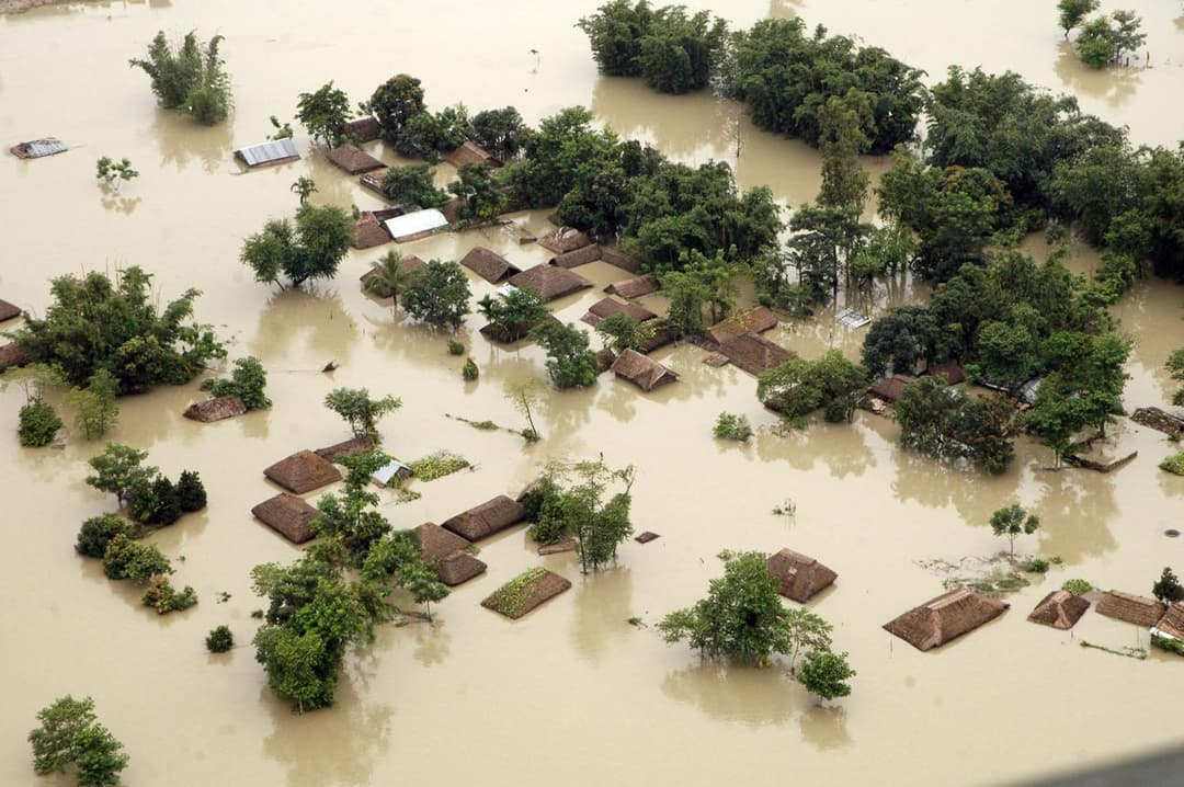 Bihar Floods: Help Rescue & Protect Animals in Need
