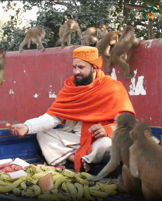 Paw Sathi Video